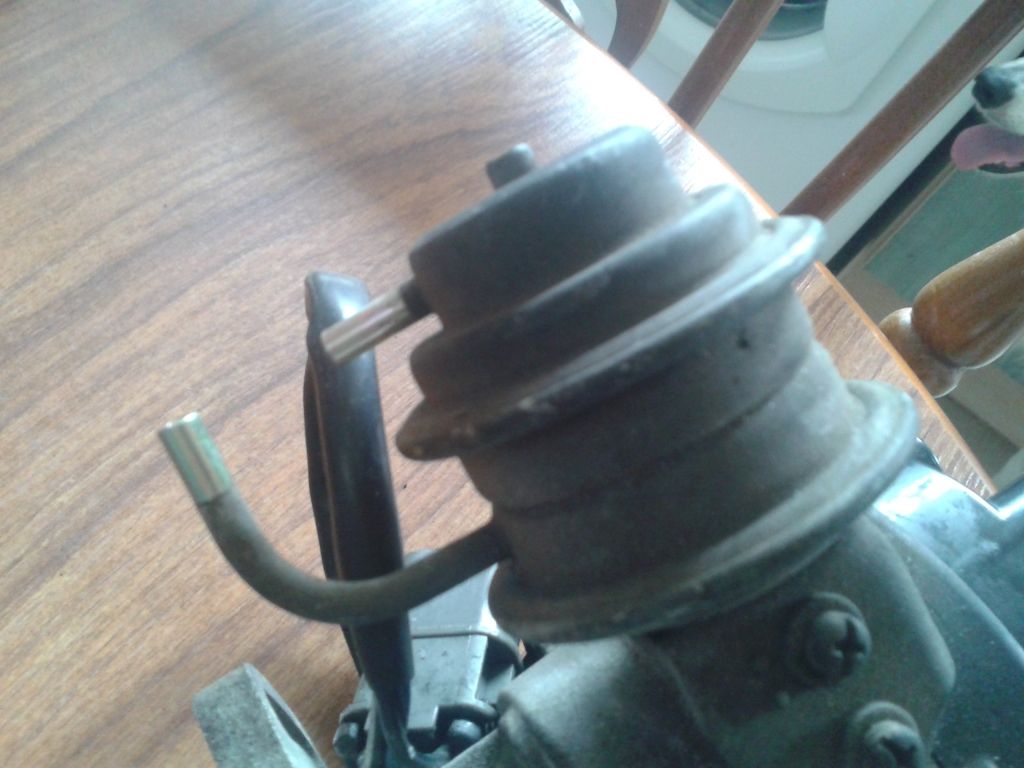 20130628_115527_zps5b89e921.jpg