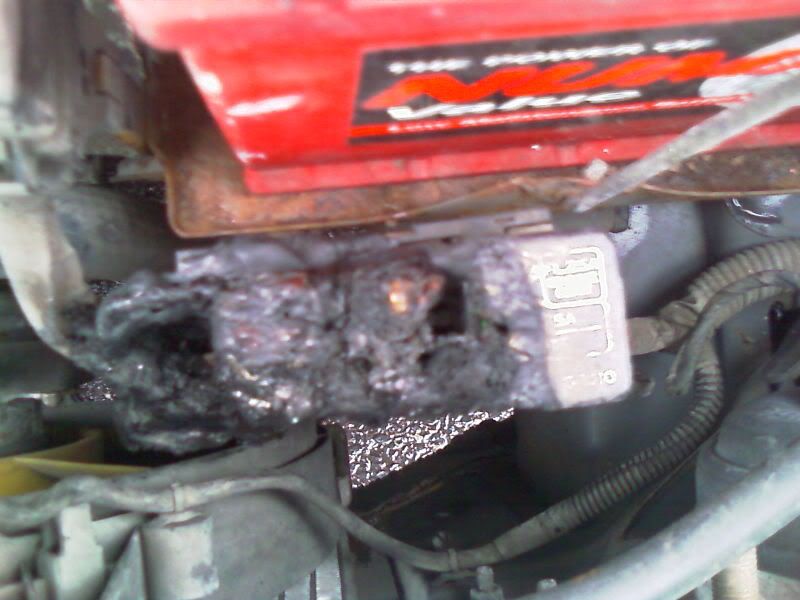 IMAG0008.jpg