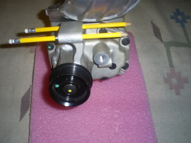 S5031229.jpg