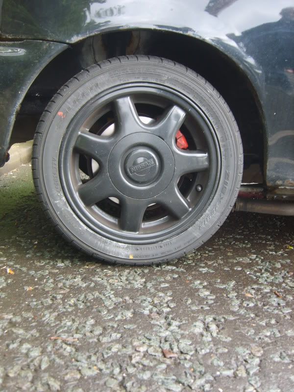 S8001726.jpg