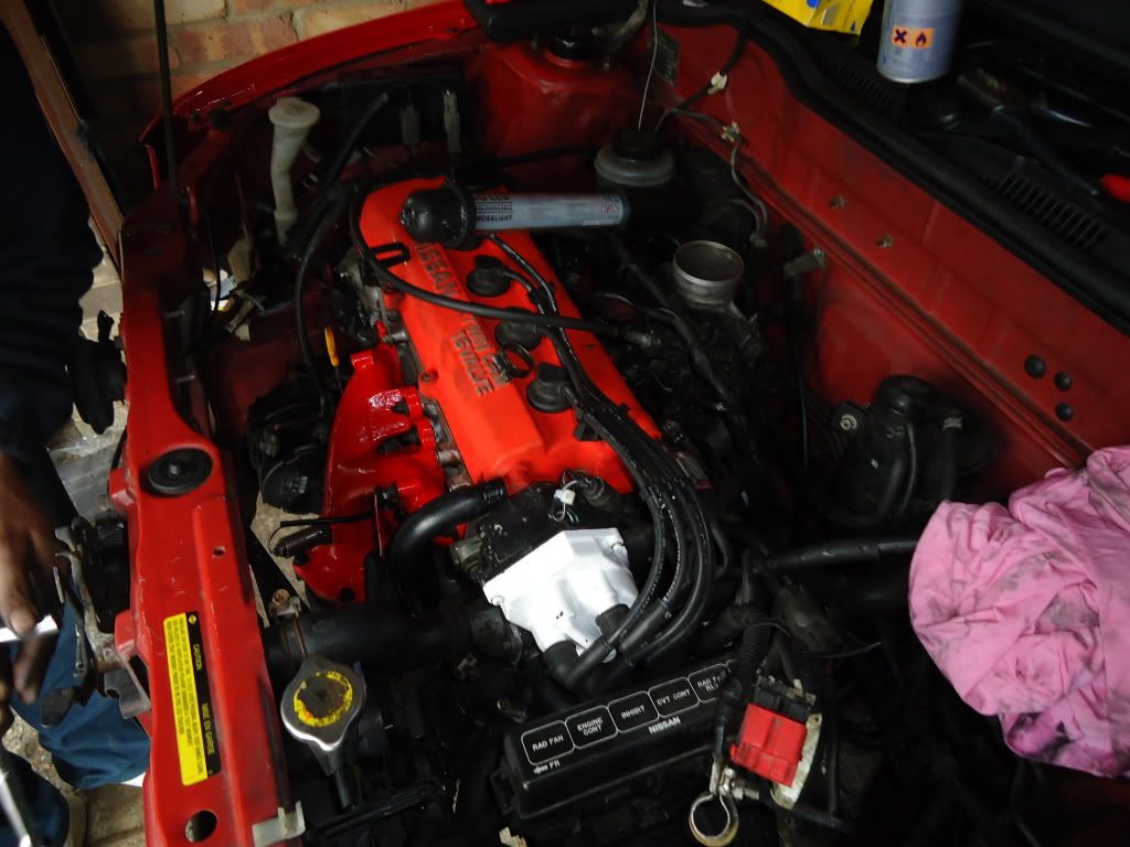 DSC00260.jpg