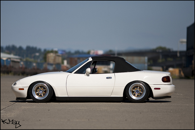 6007420818_cb665fabdc_z.jpg
