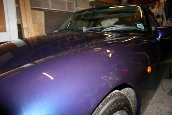 blue_purple_tvrgriff.jpg