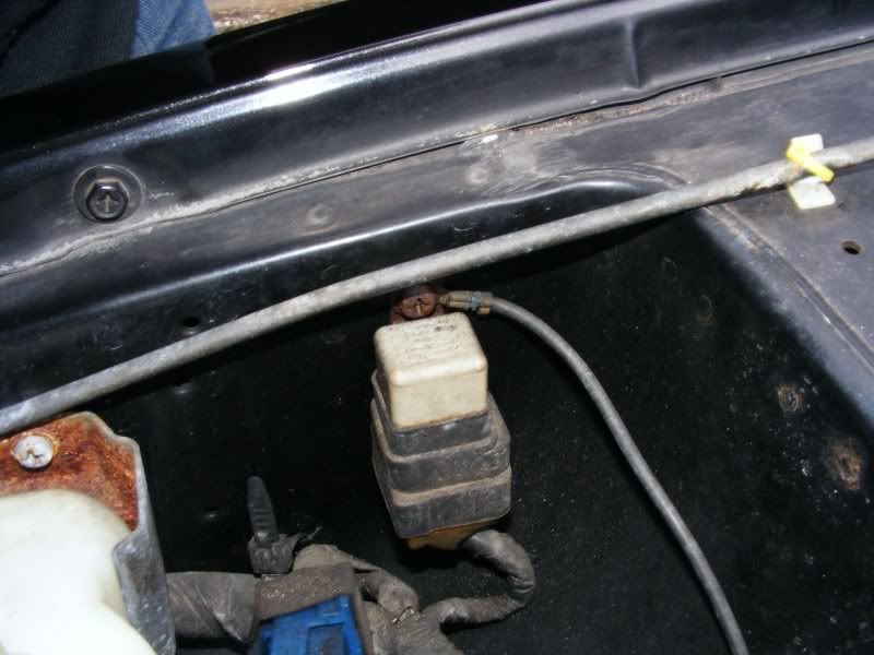 DSCF1236.jpg