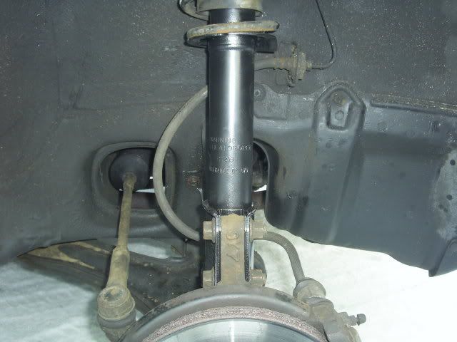 SUC50538.jpg