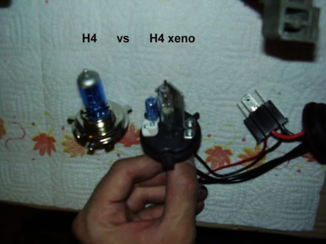 xeno13.jpg