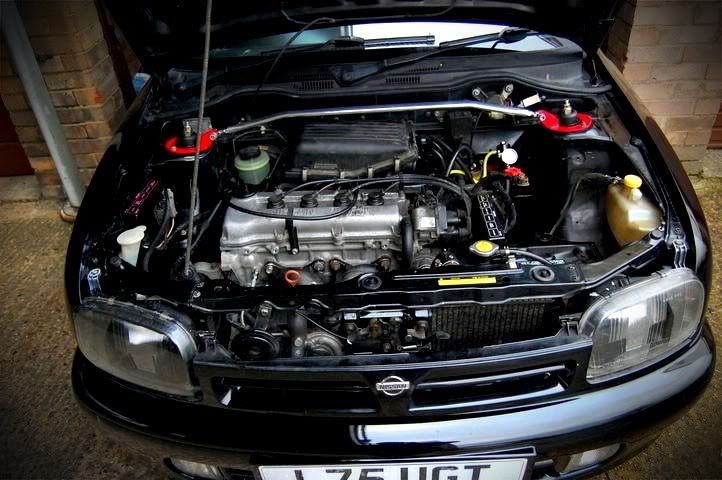 445d4002.jpg