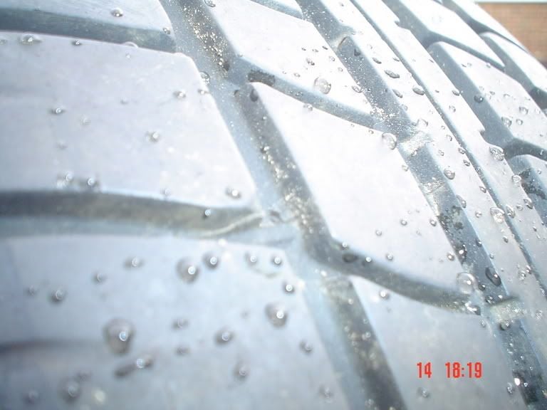 DSC00446.jpg