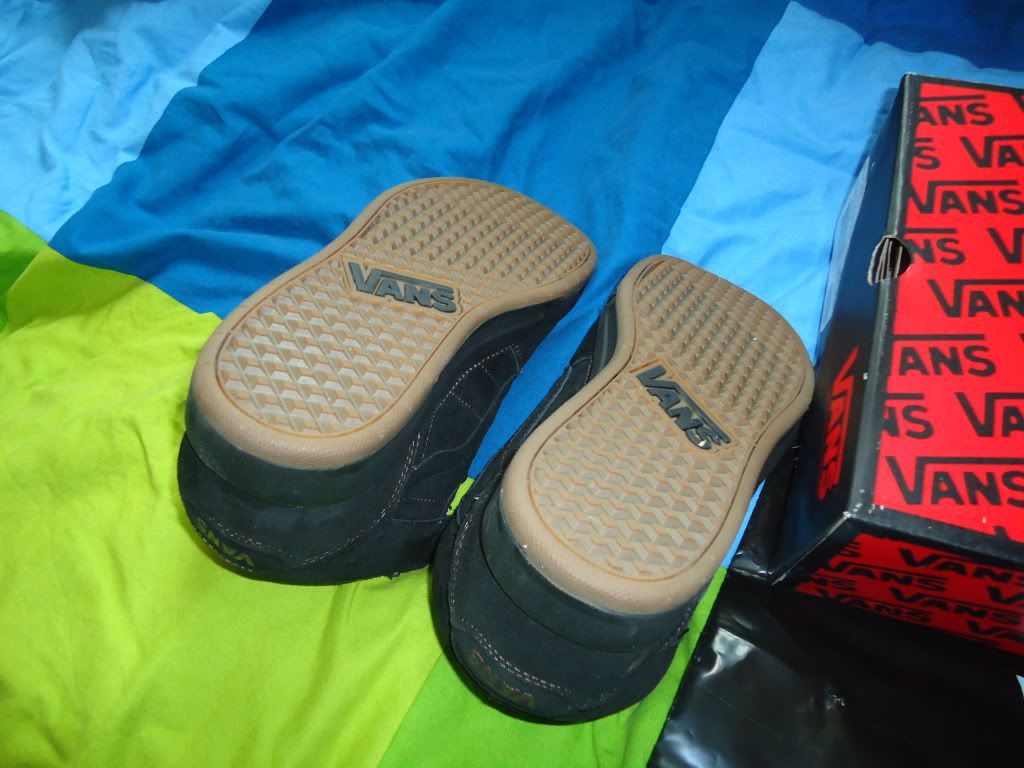 DSC01179.jpg
