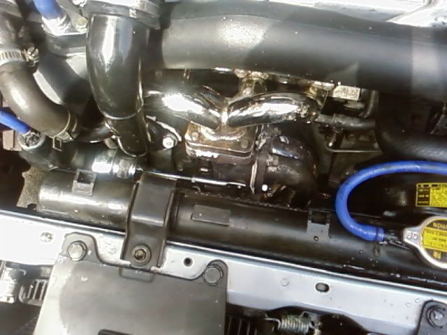 Img572309F0.jpg