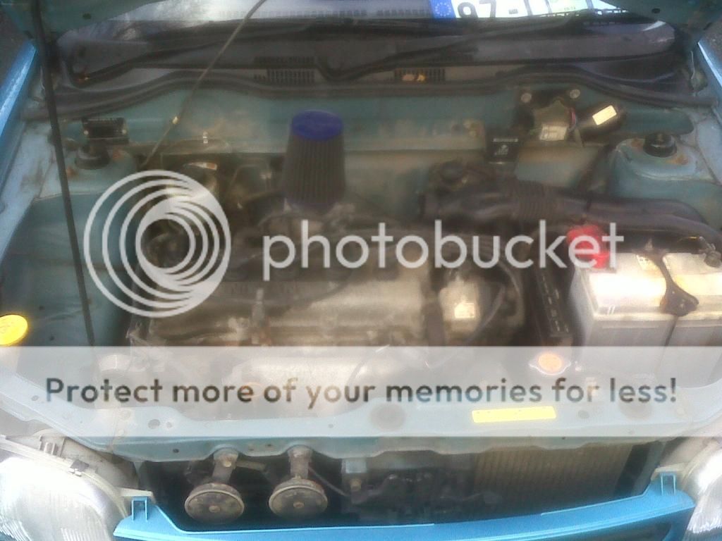 IMG00927-20121213-1345.jpg