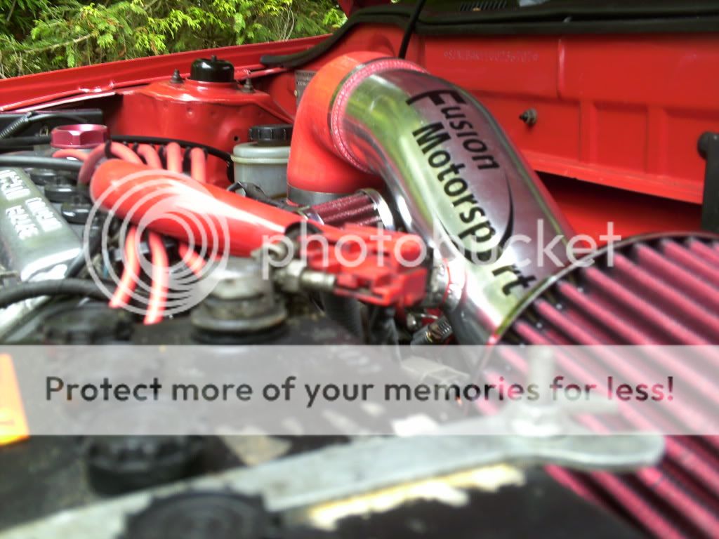 PICT0011.jpg