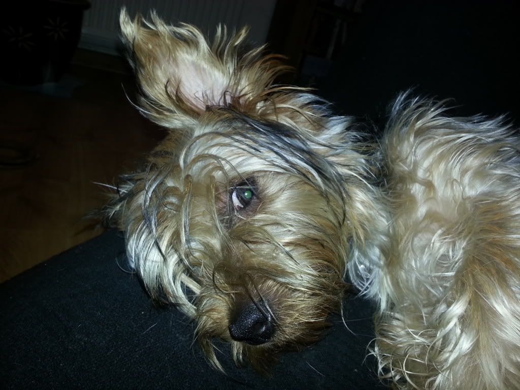 20120830_225902_zps2375c448.jpg