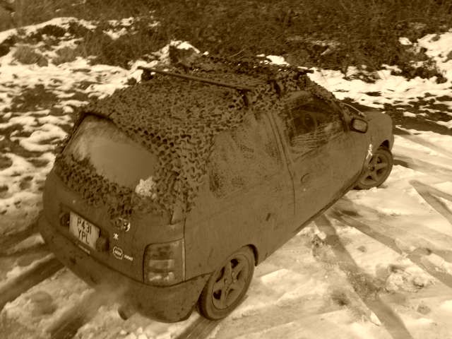 camo5.jpg