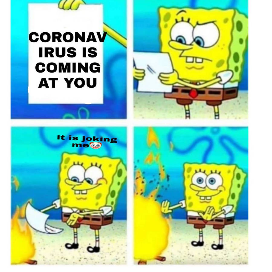 og2fd.jpg