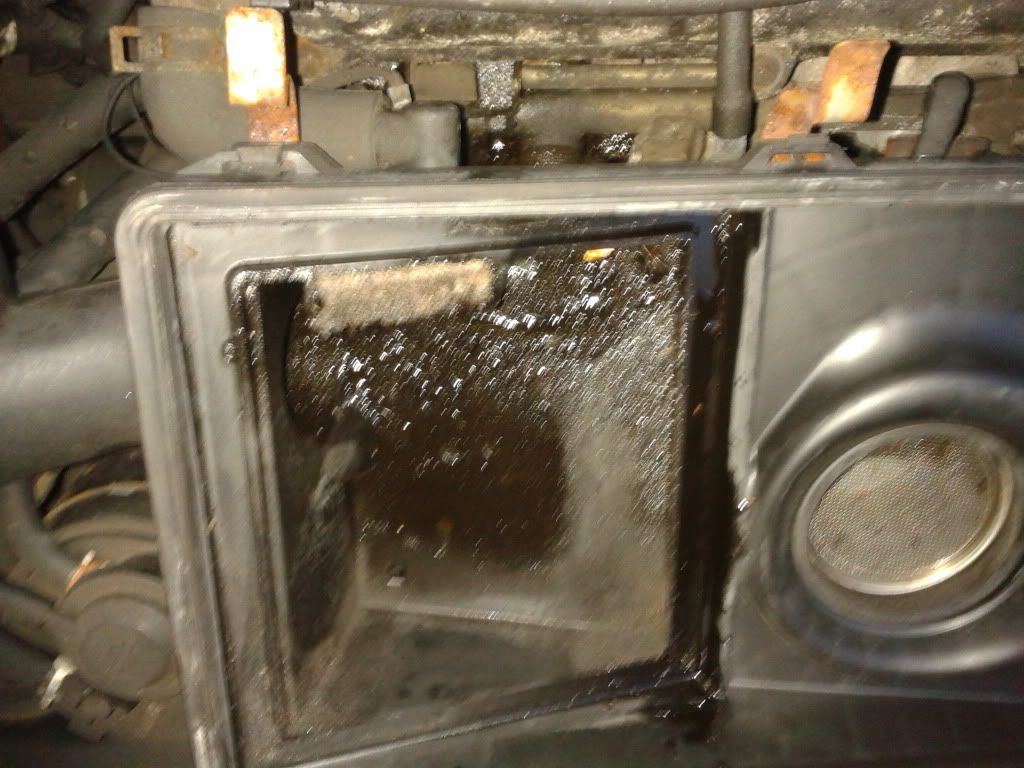 2011-11-03162546.jpg
