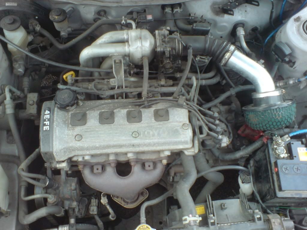 DSC00914.jpg