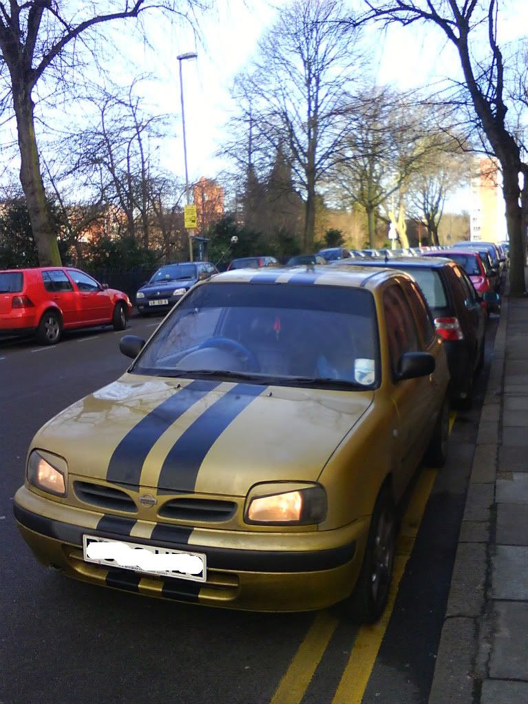 DSC00593.jpg