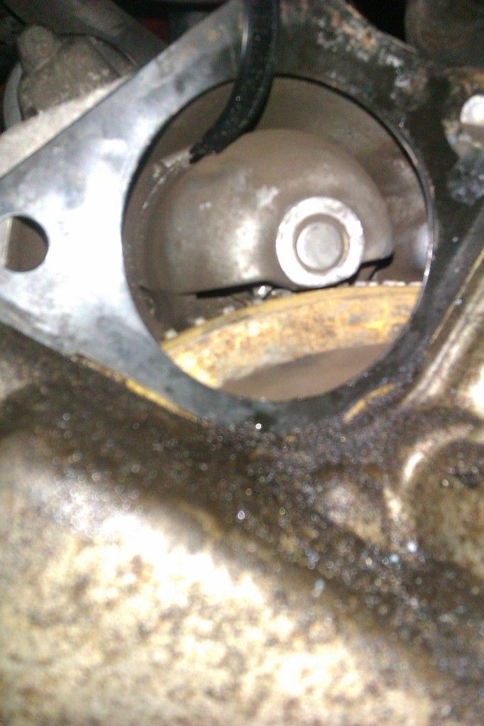 IMAG0317_zps85c42feb.jpg