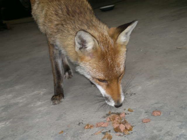 201205023596.jpg