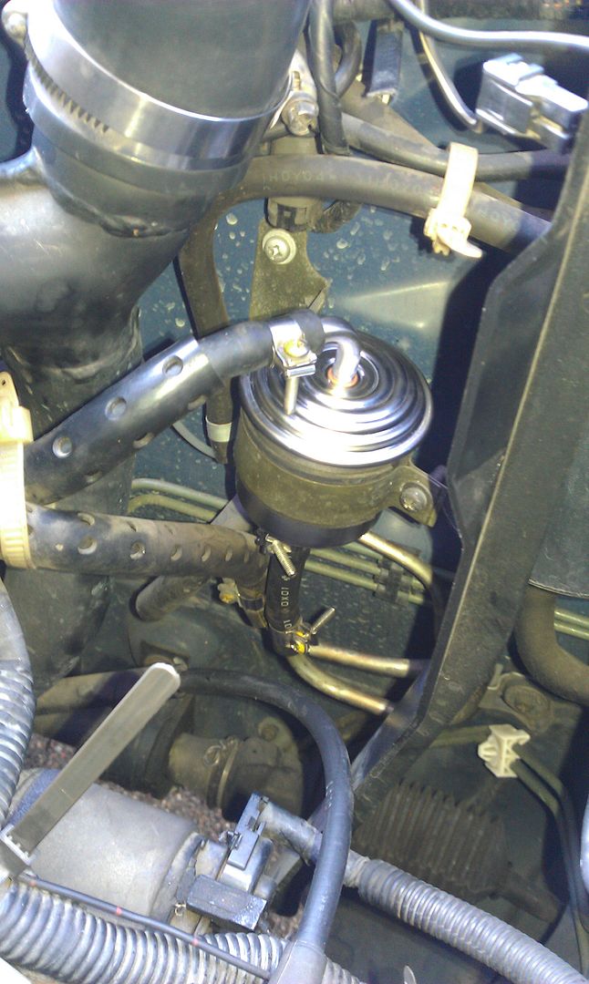 IMAG0568.jpg