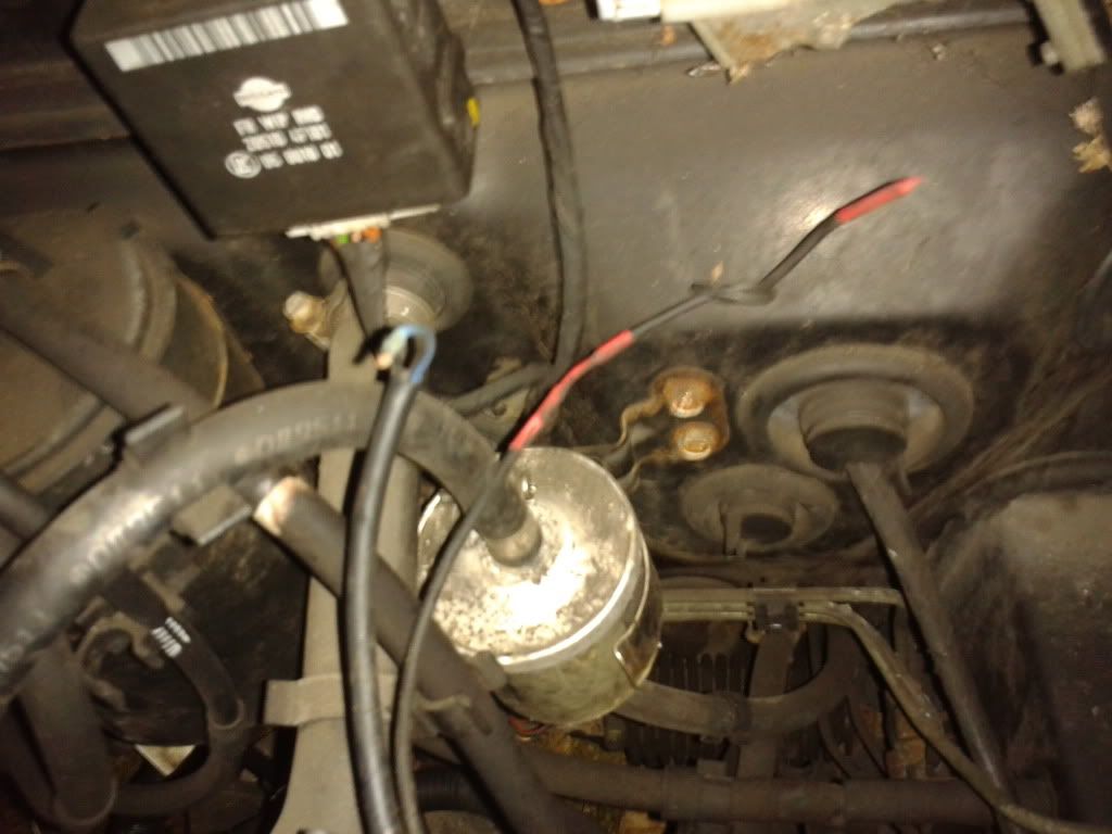 2011-11-03163604.jpg