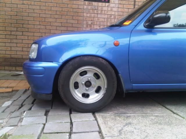 IMG01093-20110601-1148.jpg