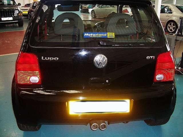lupo3.jpg