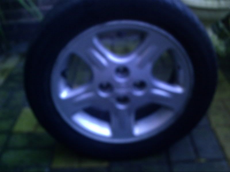 PICT0017-2.jpg