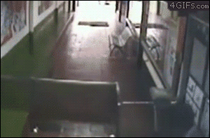 tumblr_maz23kRgUh1rfh5c5o2_400.gif