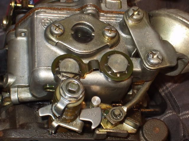 P1010085-1.jpg