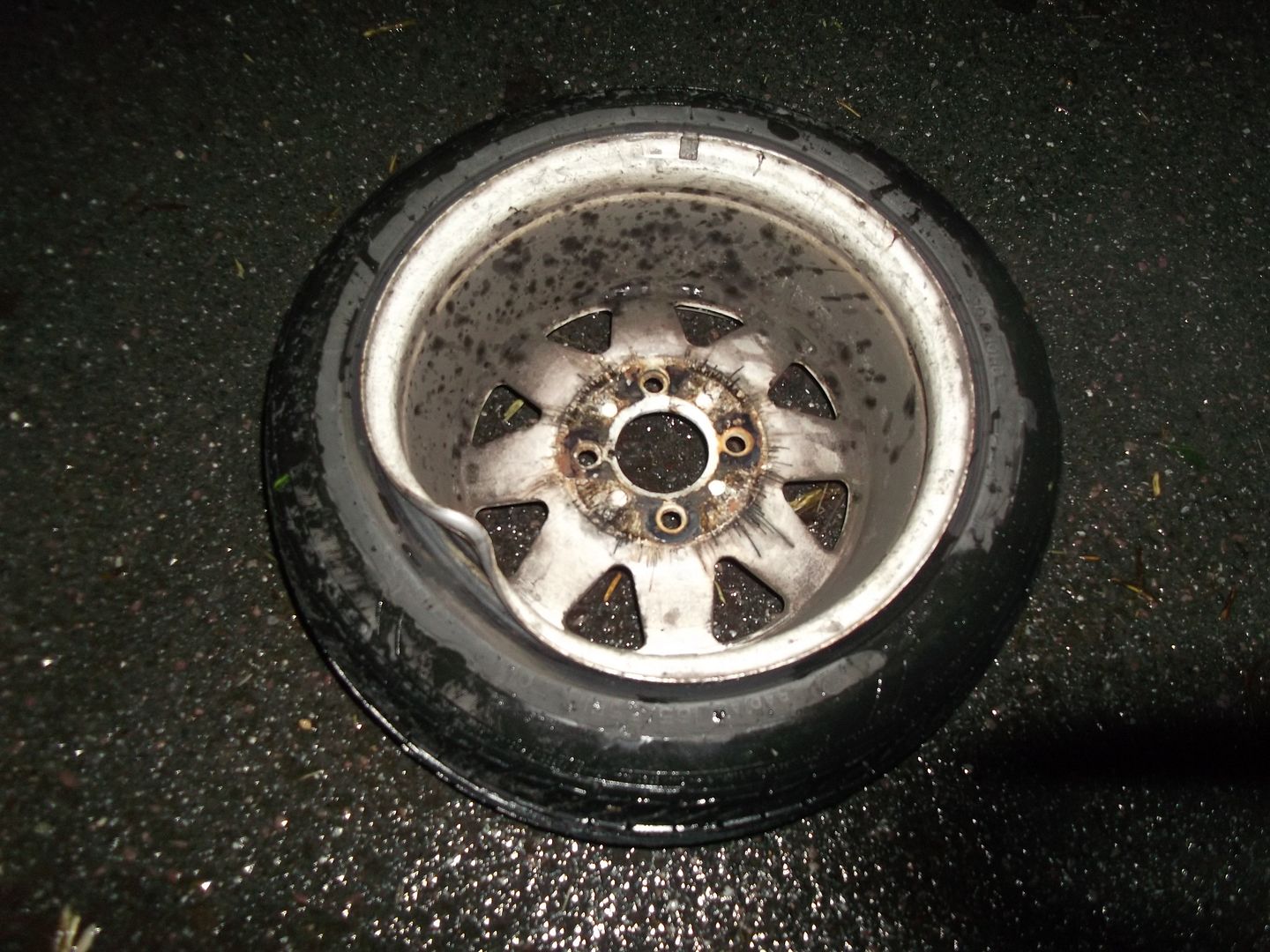 DSCF6596.jpg