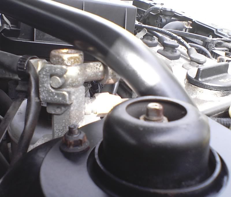 Strutbrace02.jpg