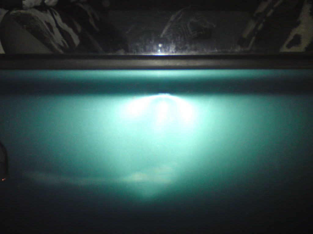 DSC04344.jpg