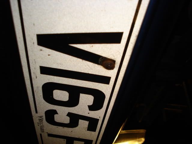 DSC02976.jpg