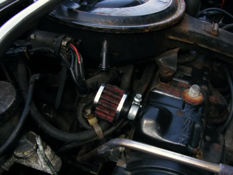 DSCF1353.jpg
