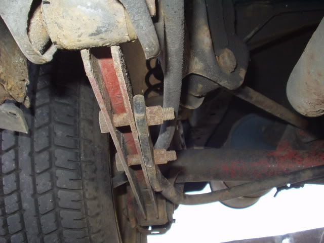 P1010026.jpg
