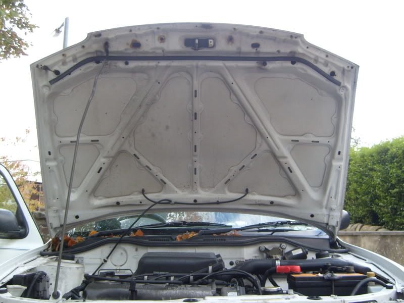 S7300497.jpg