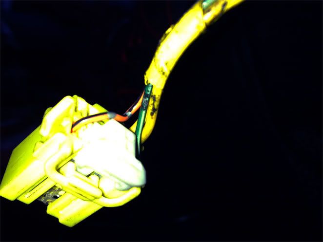 25112009111.jpg