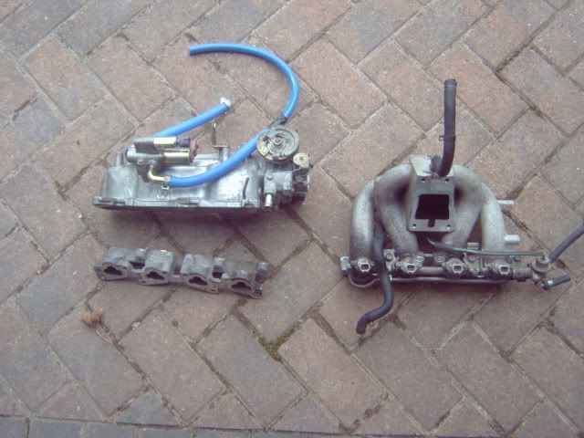 IMG00007.jpg