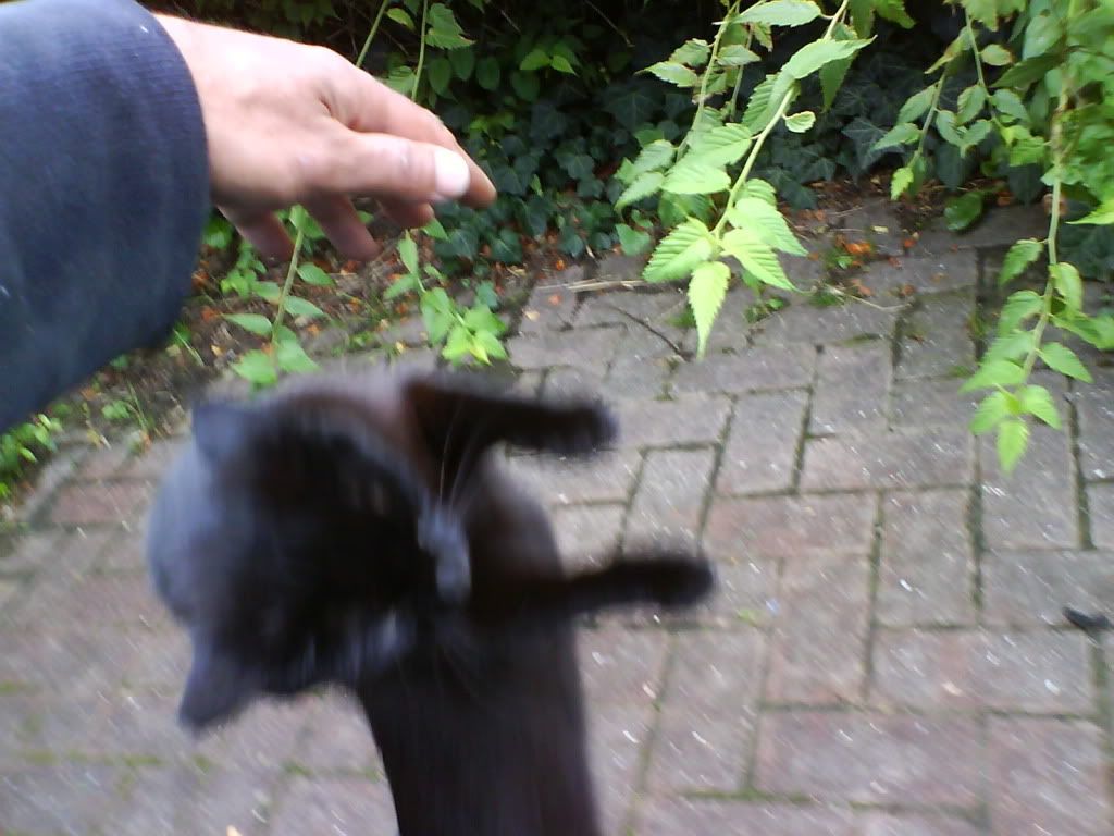 DSC02201.jpg