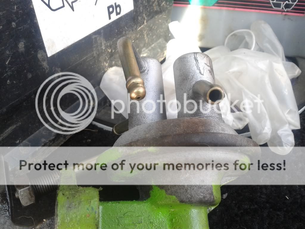20130904_104907_zps589c6f91.jpg