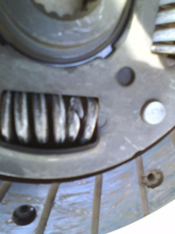 DSC00030.jpg