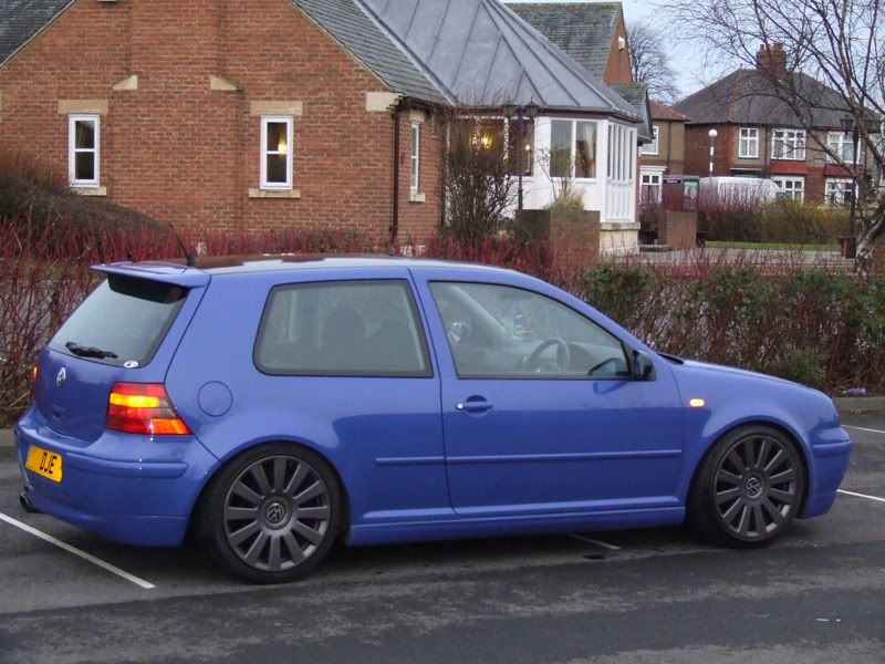 backside2.jpg