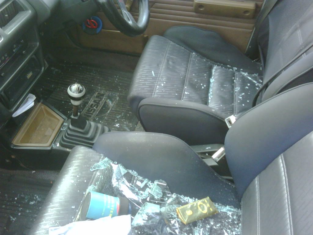 IMG04350-20101223-1057.jpg
