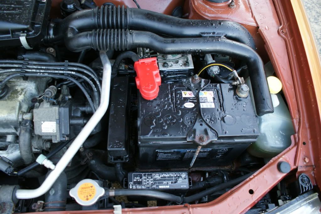 DSC03648.jpg