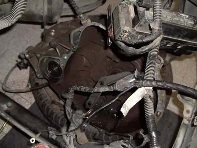 PICT2652.jpg