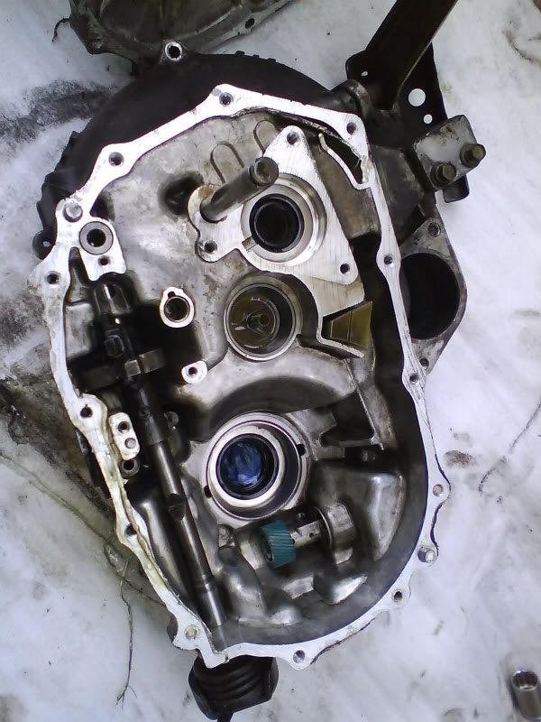 DSC00061-1.jpg