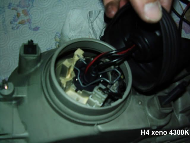 xeno18.jpg