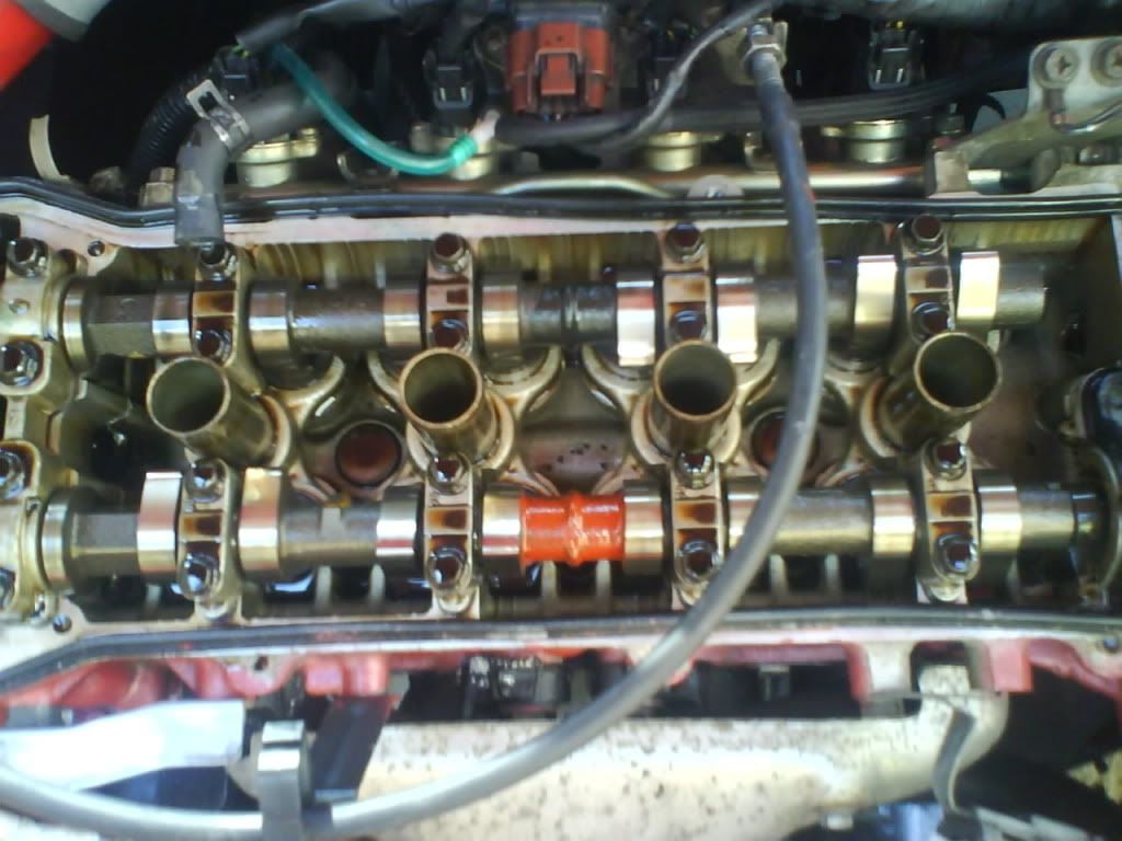 DSC00406.jpg